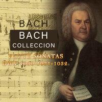 Bach Collection, Flute Sonatas BWV 1030-1031-1032