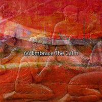 66 Embrace The Calm