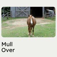 Mull Over