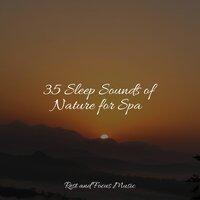35 Sleep Sounds of Nature for Spa