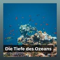 Die Tiefe des Ozeans