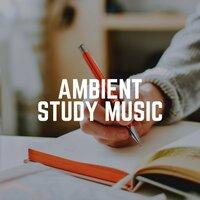 Ambient Study Music