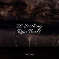 25 Soothing Rain Tracks