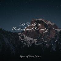 30 Tracks to Unwind and Serenity