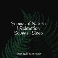 Sounds of Nature | Relaxation Sounds | Sleep