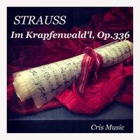 Strauss: Im Krapfenwald'l, Op.336