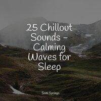 25 Chillout Sounds - Calming Waves for Sleep