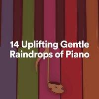 14 Uplifting Gentle Raindrops of Piano