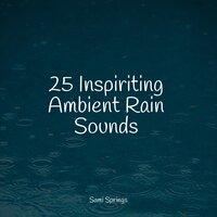 25 Inspiriting Ambient Rain Sounds