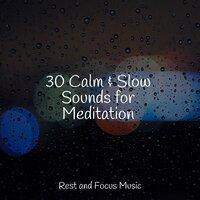 30 Calm & Slow Sounds for Meditation