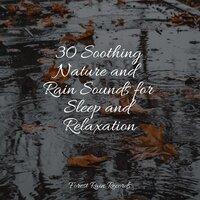 30 Soothing Nature and Rain Sounds for Sleep and Relaxation