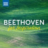 Beethoven For Inspiration
