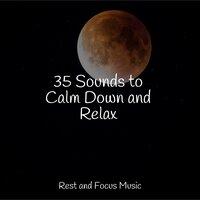 35 Sounds to Calm Down and Relax