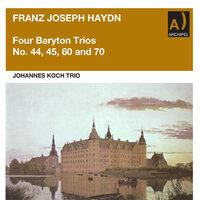 Baryton Trio No. 44 in D Major, Hob. XI:44: III. Minuet - Trio
