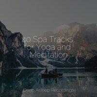 40 Spa Tracks for Yoga and Meditation