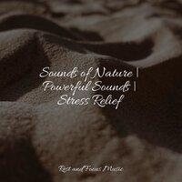 Sounds of Nature | Powerful Sounds | Stress Relief