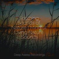 Soothing Sounds of Nature | Mindful Living Nature Sounds