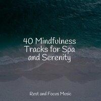 40 Mindfulness Tracks for Spa and Serenity