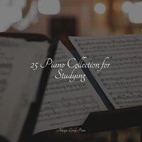 25 Piano Collection for Studying