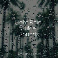 Light Rain Guide Sounds