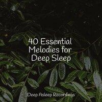 40 Essential Melodies for Deep Sleep