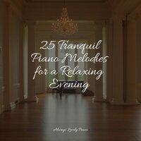 25 Tranquil Piano Melodies for a Relaxing Evening