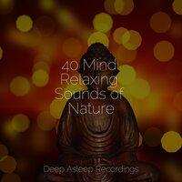 40 Mind Relaxing Sounds of Nature