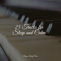 25 Tracks for Sleep and Calm