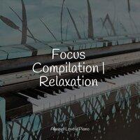 Focus Compilation | Relaxation