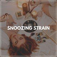 Snoozing Strain