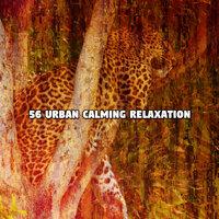 56 Urban Calming Relaxation