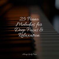 25 Piano Melodies for Deep Focus & Relaxation