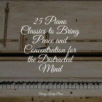25 Piano Classics to Bring Peace and Concentration for the Distracted Mind