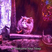 47 Welcome Your Sleep