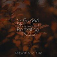35 Guided Meditation Relaxation Tracks
