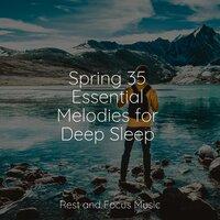 Spring 35 Essential Melodies for Deep Sleep