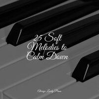 25 Soft Melodies to Calm Down