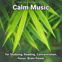 Calm Music for Studying, Reading, Concentration, Focus, Brain Power