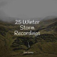25 Winter Storm Recordings