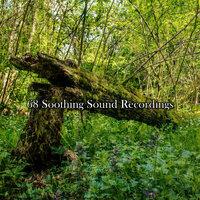 68 Soothing Sound Recordings