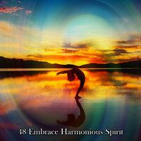 48 Embrace Harmonious Spirit