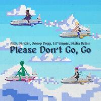 Please Don't Go, Go