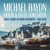 Violin Concerto in A Major, MH 207: Adagio