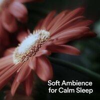 Soft Ambience for Calm Sleep