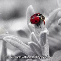 77 Relaxation In The Night