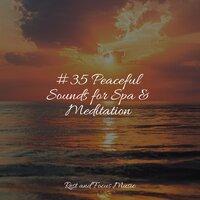 #35 Peaceful Sounds for Spa & Meditation