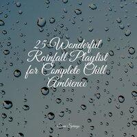 25 Wonderful Rainfall Playlist for Complete Chill Ambience