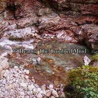 75 Healing The Troubled Mind