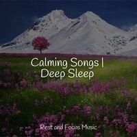 Calming Songs | Deep Sleep