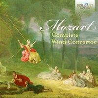 Concerto in C Major for Flute and Harp, K. 299: III. Rondeau. Allegro